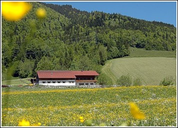 hof_2